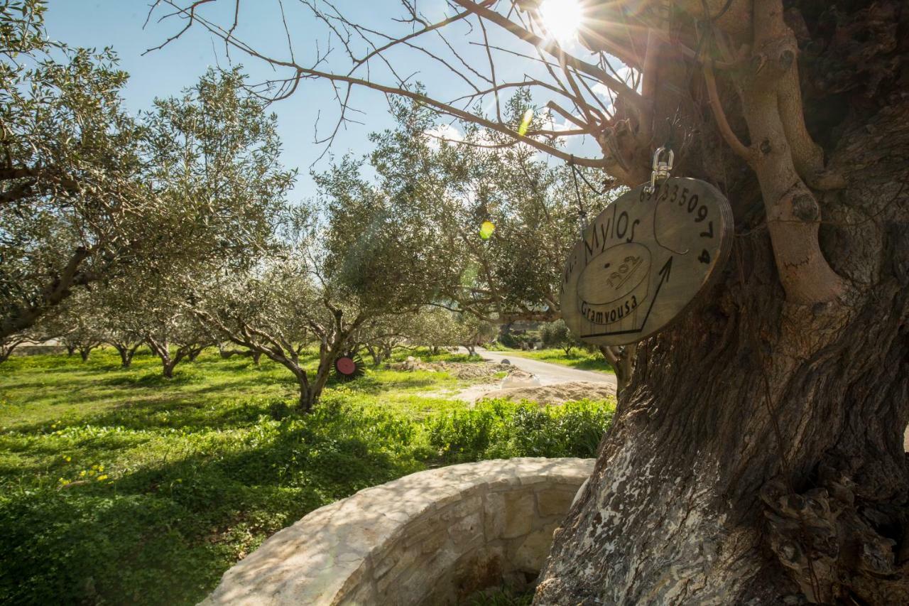 Μylos Kíssamos Exteriér fotografie